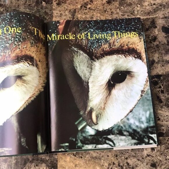 Readers Digest Our Amazing World of Nature 3rd Printing 1969 Marvels & Mysteries - Picture 13 of 16